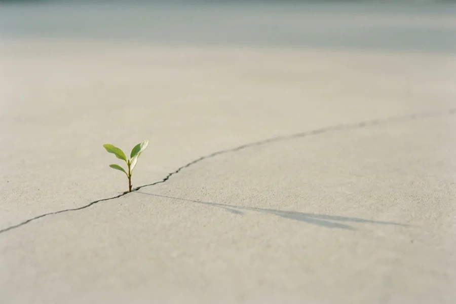 How we recovered 40% of lost traffic after Google’s Helpful Content Update
